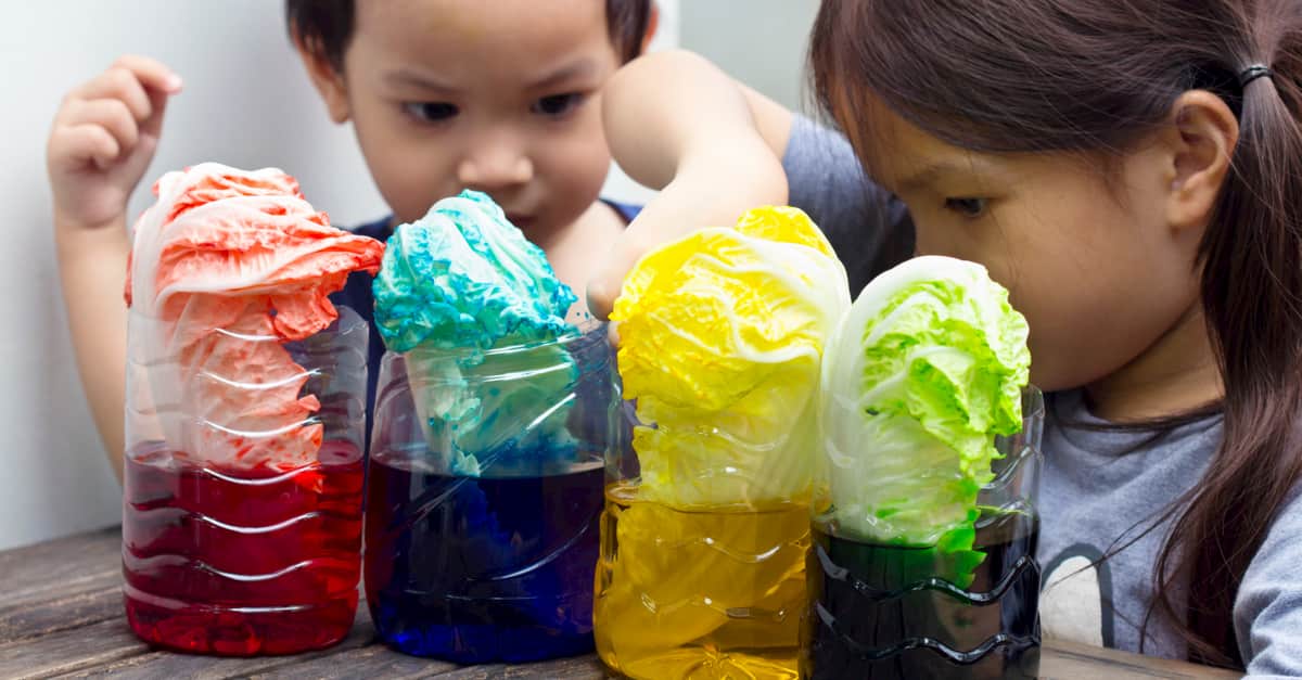 Five Science Experiments to do at Home with Kids SCALAR LIGHT