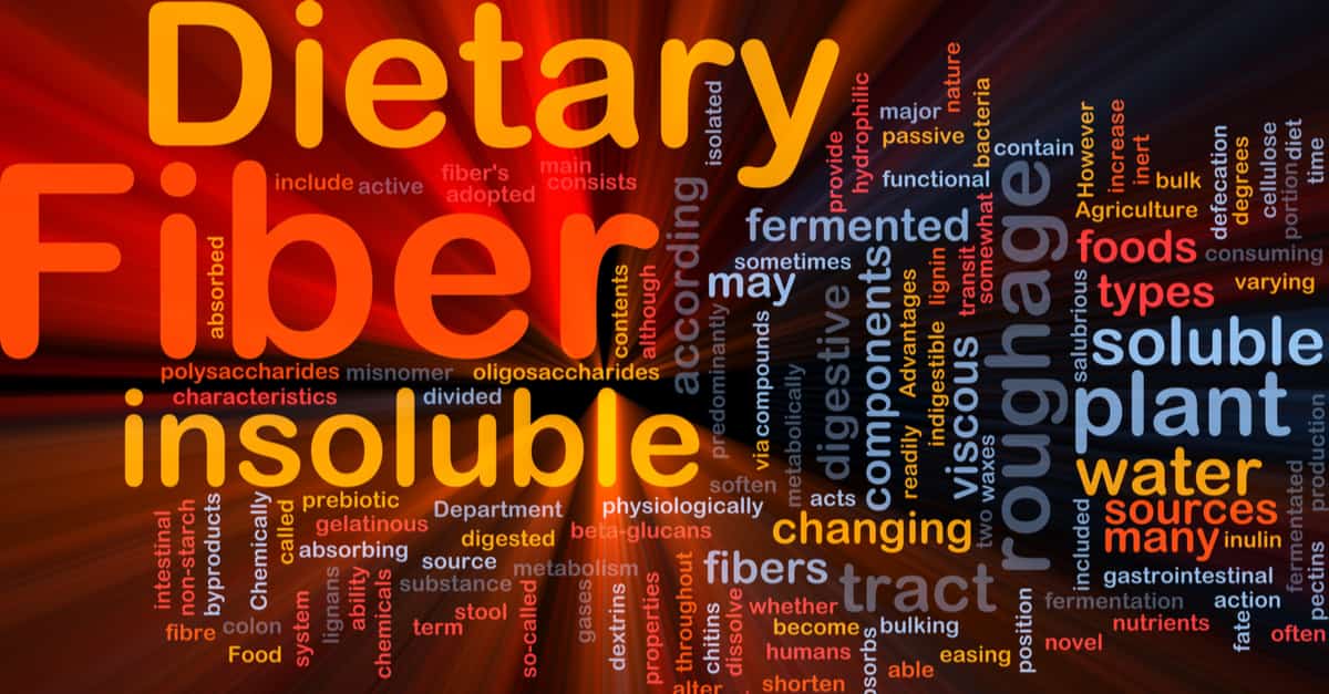 Why Do We Need Fiber and Where Do We Get It? SCALAR LIGHT