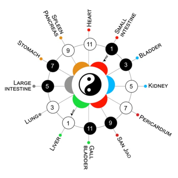 What is a Meridian in Traditional Chinese Medicine? SCALAR LIGHT